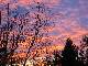 Coucher de soleil