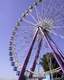 Grande roue