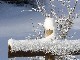 Panneau indicateur sous la neige