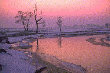 Paysage glacé