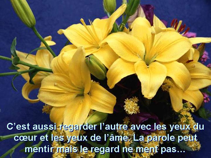 Aimer... 05