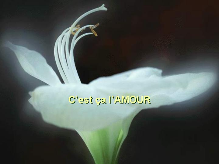 Aimer... 10