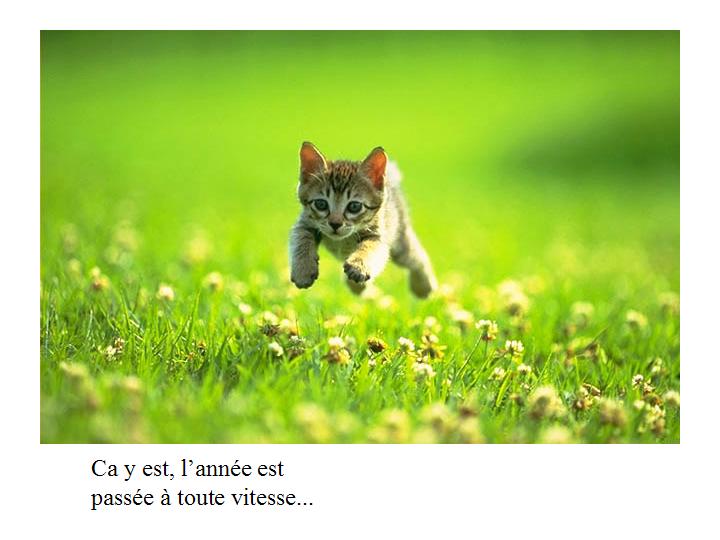 Bonne année