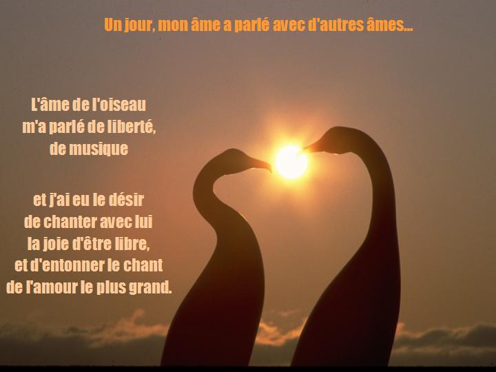 Conversation avec mon âme