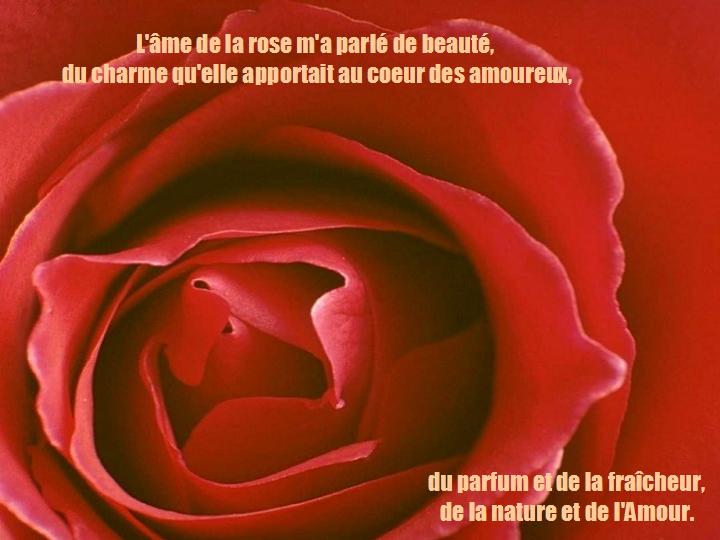 Conversation avec mon âme 02