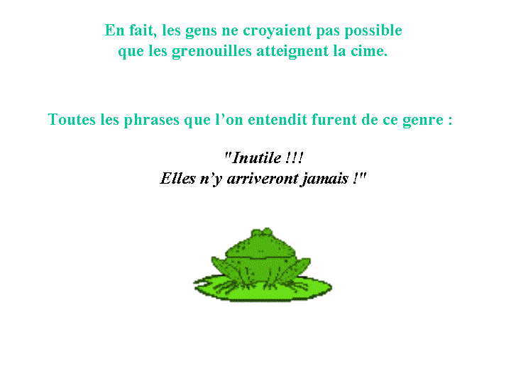La petite grenouille 04