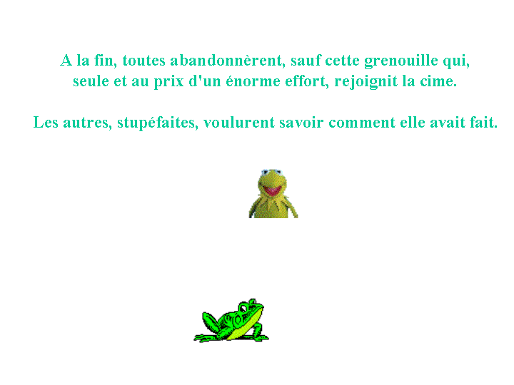 La petite grenouille 07