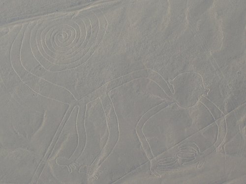 Les lignes de Nazca (Pérou) : le singe