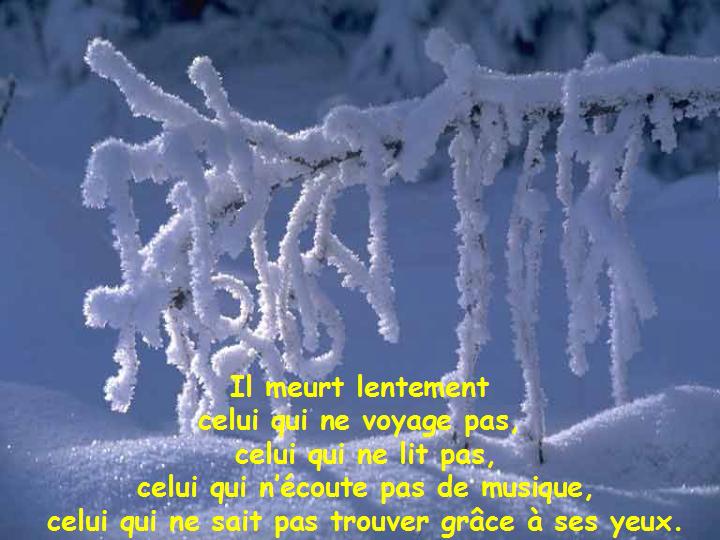 Ne te prive pas d'être heureux