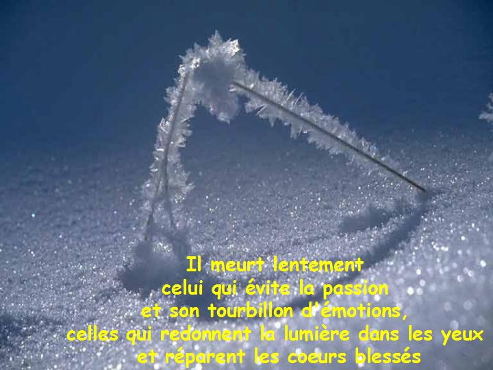 Ne te prive pas d'être heureux 04
