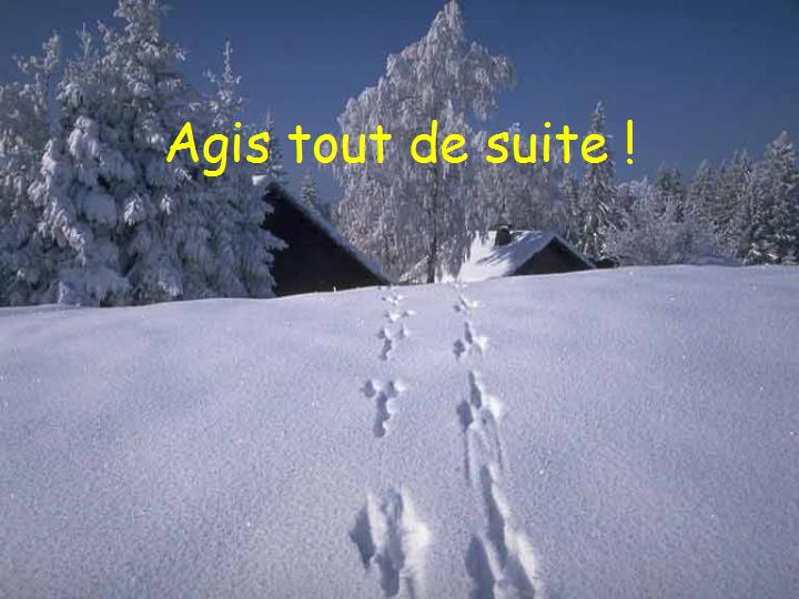 Ne te prive pas d'être heureux 08
