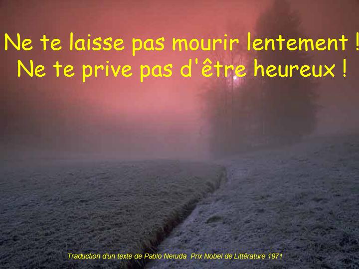 Ne te prive pas d'être heureux 09