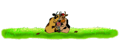 Deux vaches : se pardonner, se réconcilier...