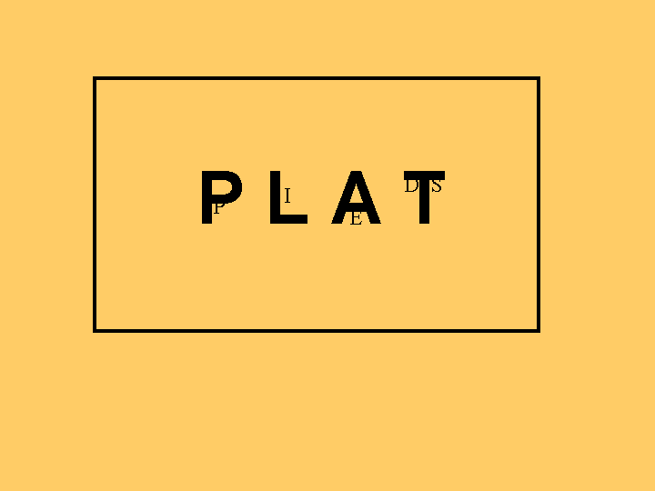 Dingbat 23